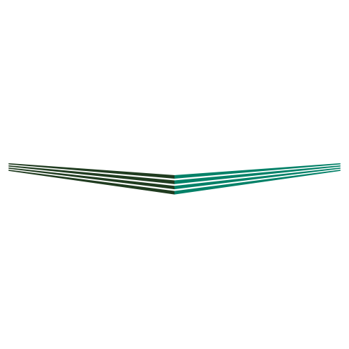 Logotipo de VYNMSA, desarrolladora de parques industriales